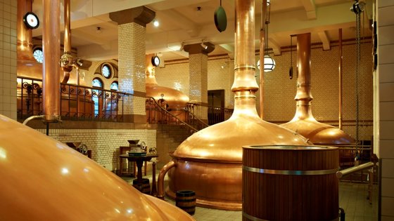 Heineken brewing process