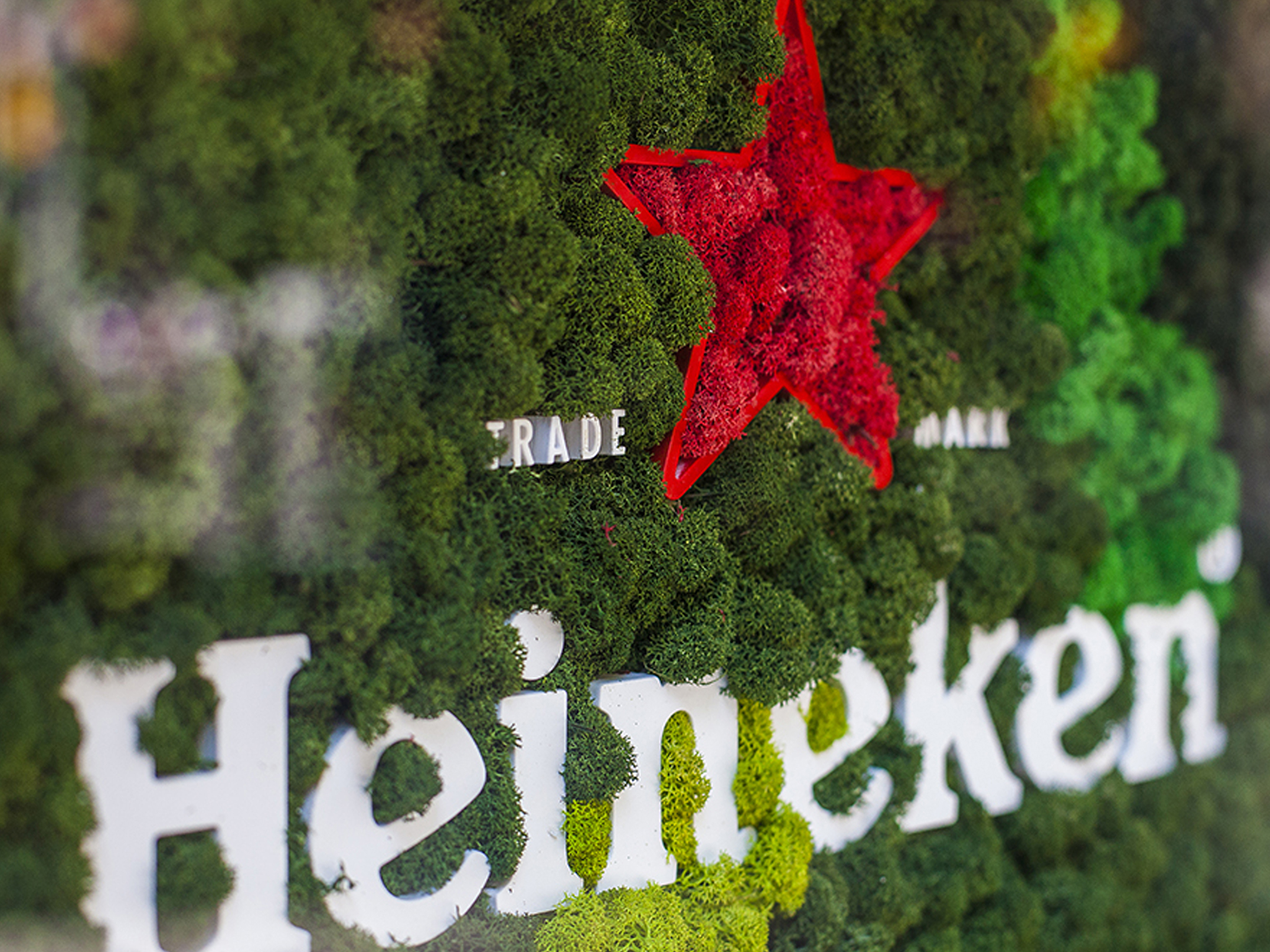 Welcome to the world of Heineken® | Heineken.com